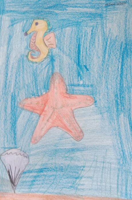 Johannes, 7, Wiesing